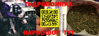 гашик Гай
